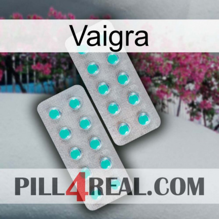 Vaigra 29